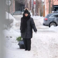 Pelican 15 Pelican -Pelican LDT45PA06 00