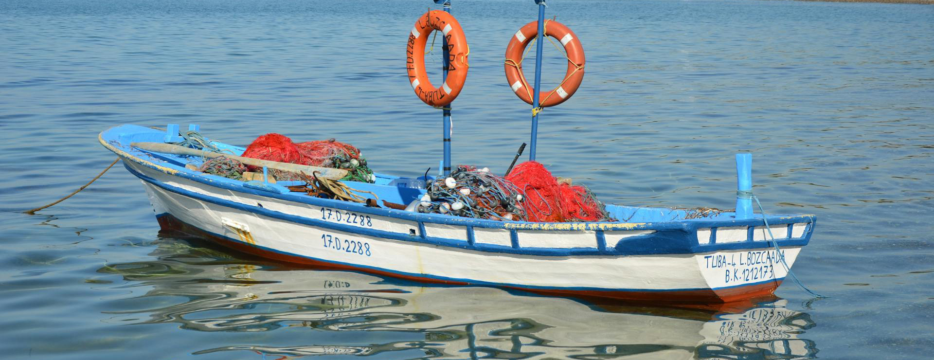 Pelican 3 Pelican -Pelican pexels abdulaziz yesilbas 190703286 11468130