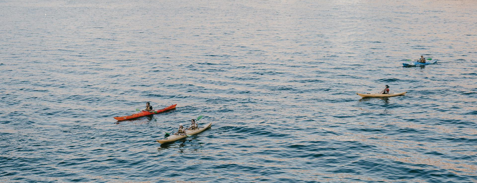 Pelican 1 Pelican -Pelican pexels daniel ponomarev 845160 5501680